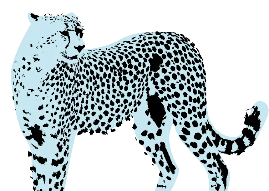 Guepardo en alerta representando la detección anticipada de vulnerabilidades IT con Stratic, consultoría tecnológica