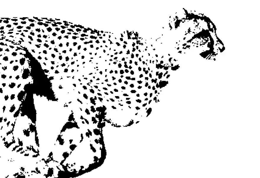 Guepardo corriendo como símbolo de eficiencia en ahorro TI con ITAM e ITSM de Stratic, consultoría tecnológica