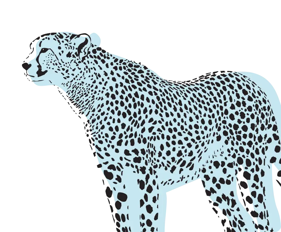 Guepardo atento como símbolo de eficiencia operativa a través de automatización ITSM/ITAM con consultoría tecnológica de Stratic